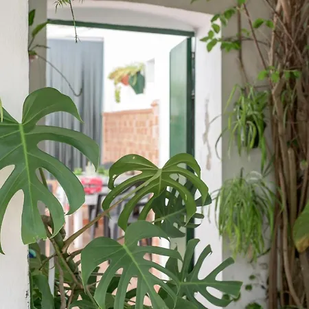 Casa Joaquina Коніль-де-ла-Фронтера