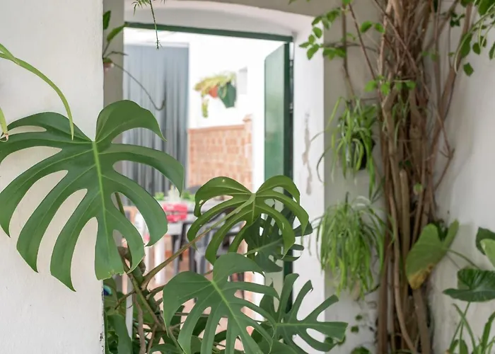 Casa Joaquina Conil De La Frontera